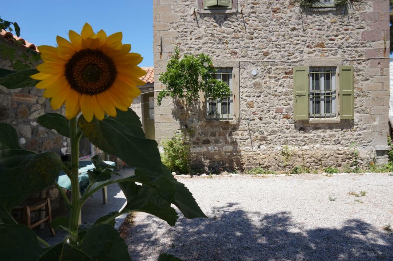 Chalantra Residence Skála Eresoú Zewnętrze zdjęcie